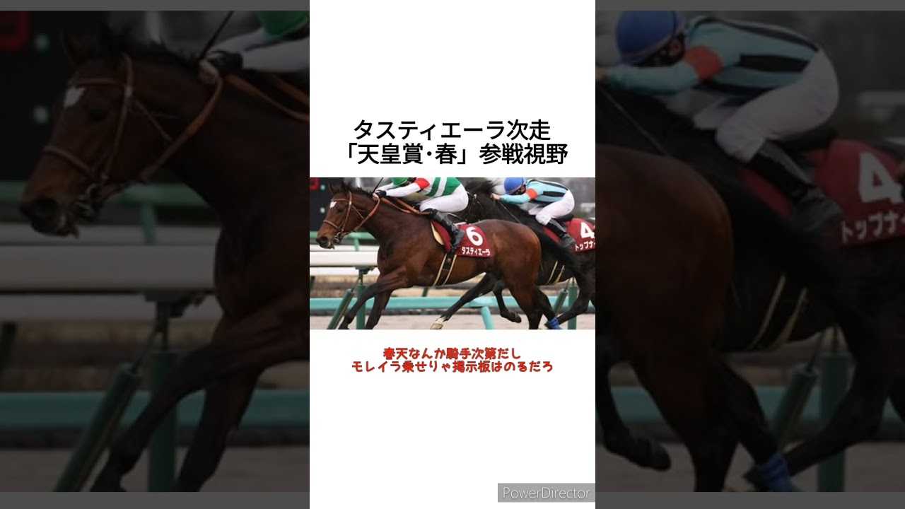タスティエーラ次走「天皇賞･春」参戦視野　 #競馬