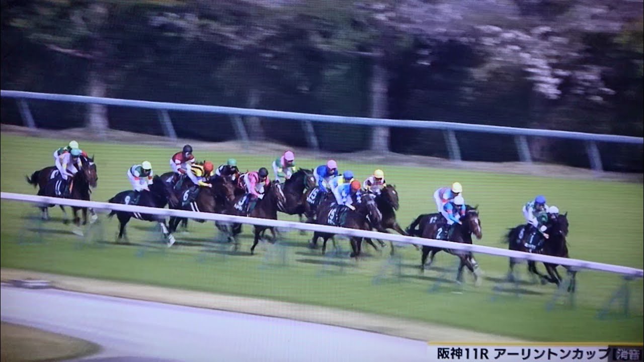 2024 第33回アーリントンカップ(G3・NHKマイルカップトライアル)