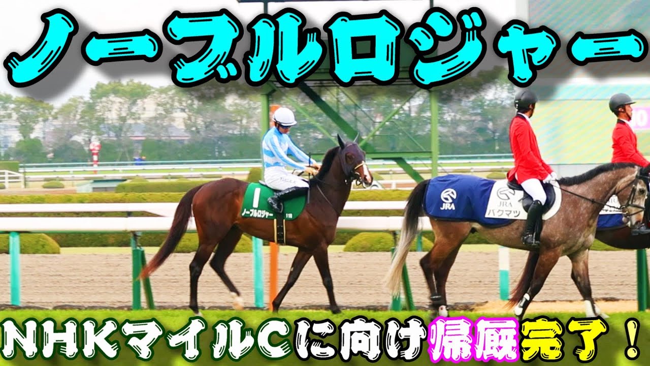 【一口馬主】ノーブルロジャー、NHKマイルカップに向け帰厩完了！-鎬を削った戦友との再戦を心待ちにし、決戦に向けて虎視眈々-【ノルマンディーOC】