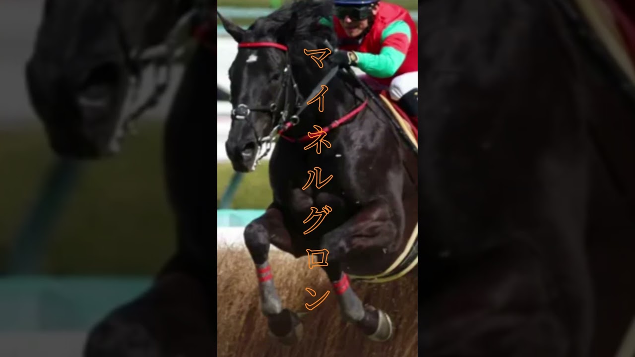 第26回　中山グランドジャンプ #競馬 #障害レース #マイネルグロン#オジュウチョウサン #jra