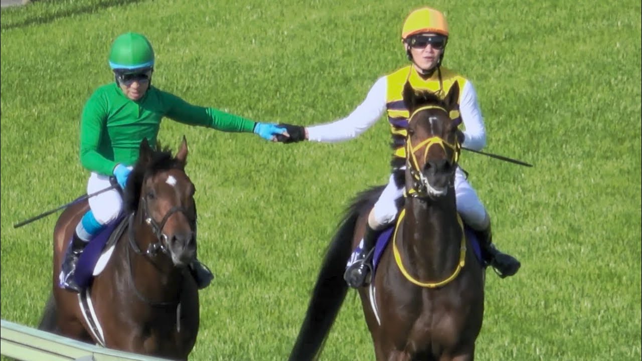 【中山グランドジャンプ2024】初‼九州産馬がJ･GⅠ２連覇‼ウィニングラン 現地映像 イロゴトシ