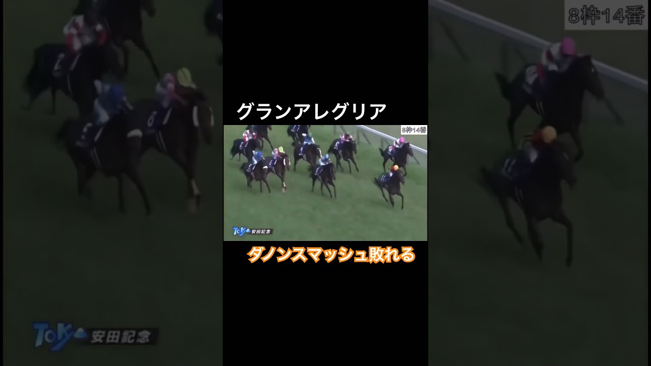 【激戦】グランアレグリアとの一戦！