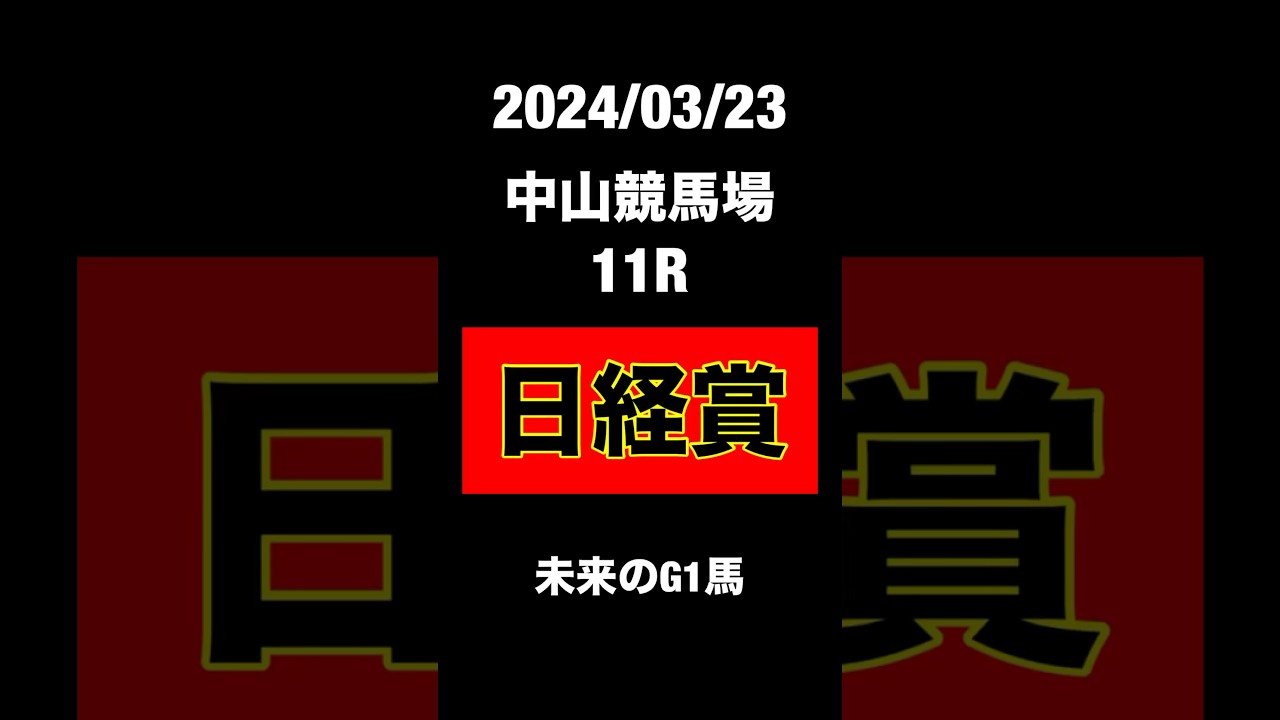 日経賞　2024 競馬予想　中山競馬場