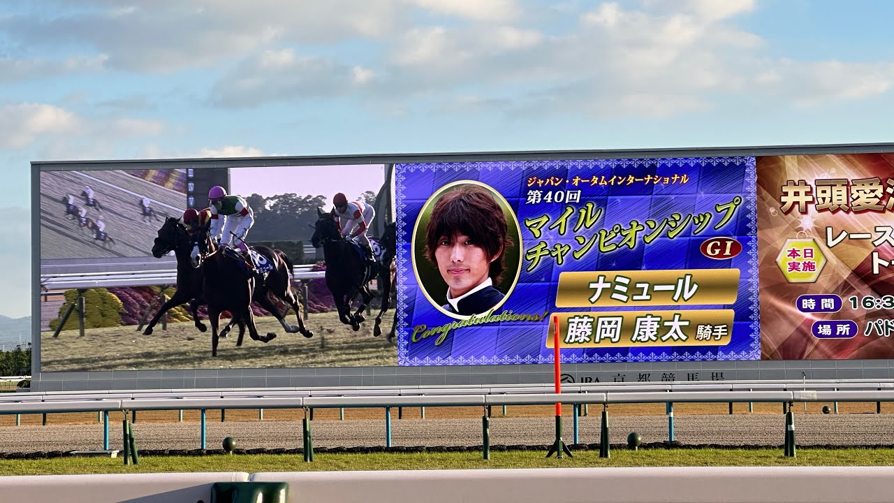 藤岡康太騎手　ナミュール　マイルCS 2023
