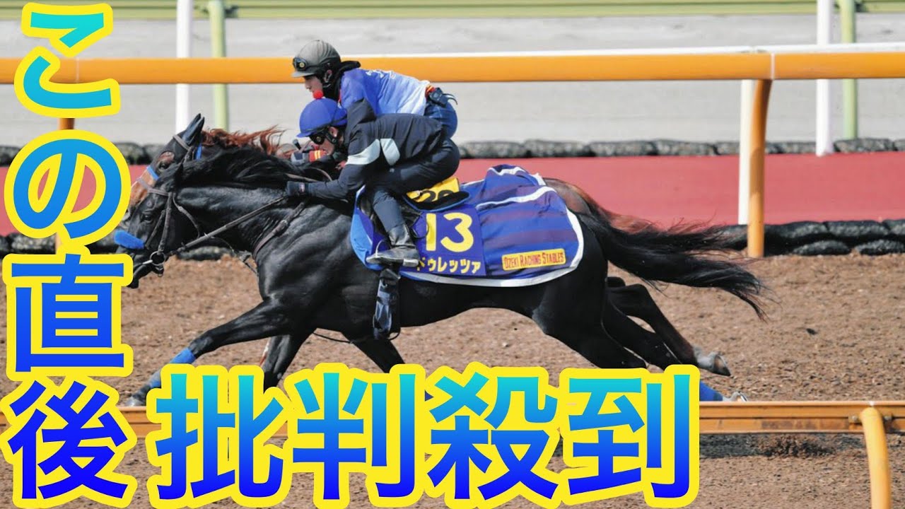 昨年の菊花賞馬ドゥレッツァ、ルメール負傷でかつてコンビの戸崎が騎乗「精神的にどっしり」【天皇賞・春1週前追い】