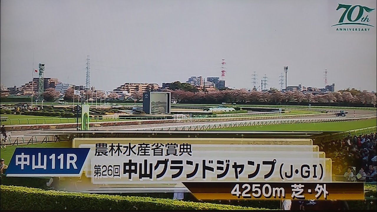 中山グランドジャンプの本馬場入場