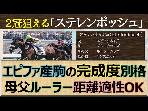 【完成度別格】３歳戦めっぽう強いエピファネイア産駒「ステレンボッシュ」桜花賞制覇！勢いのってオークス制覇も現実味☆