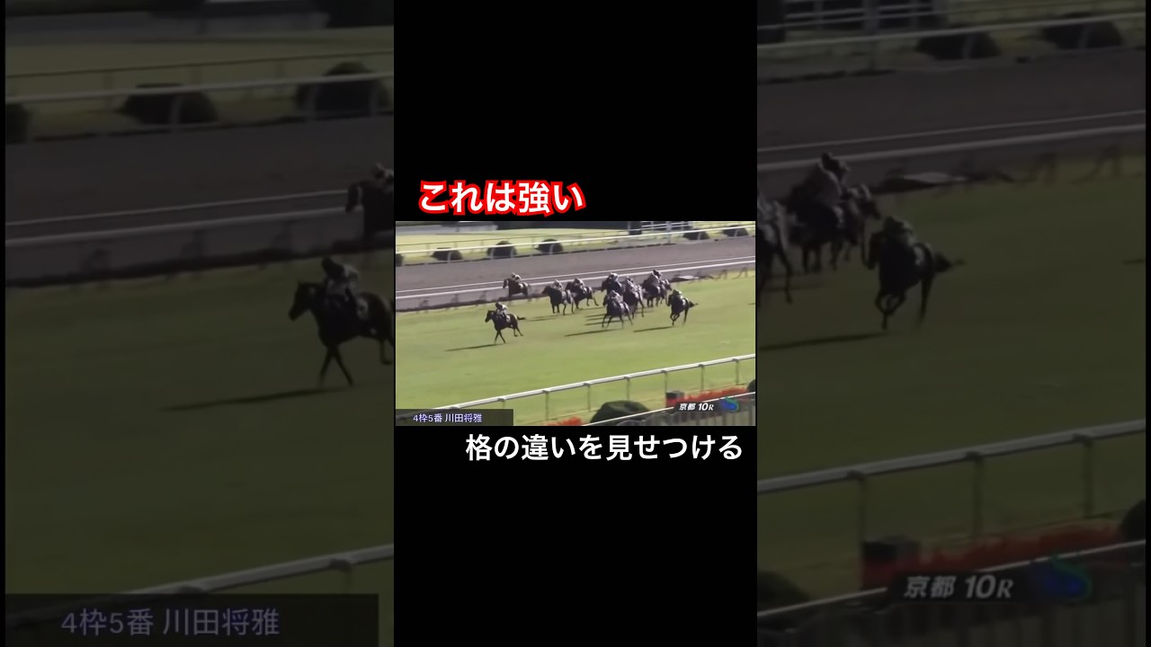 【これは強い】格の違いを見せつける