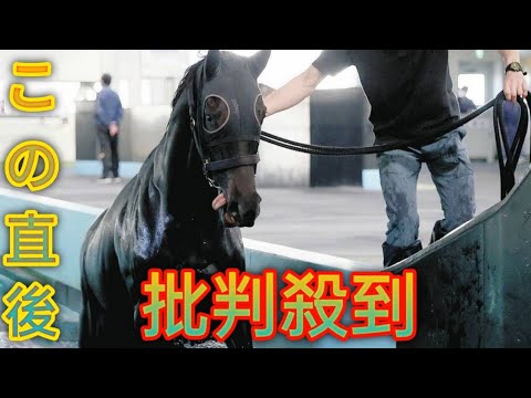 無傷の3連勝でオークスだ！『やんちゃ娘』クリスマスパレード、「良い感じで出せそう」と陣営も仕上がりに自信[Black cat]