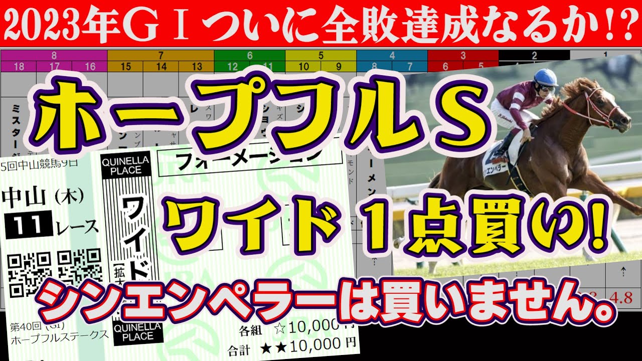 【ホープフルＳ】半分ヤケクソ？ いえ、年間収支プラスを目指すため、考え抜いた末に買うのは、コノ馬～！