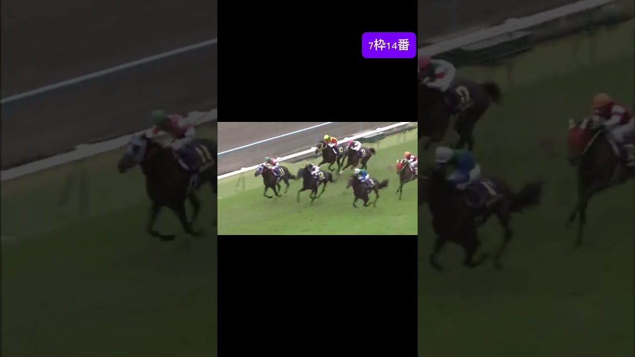 オルフェーブル　菊花賞　2011 #jra #競馬 #池添謙一 #オルフェーブル #shorts