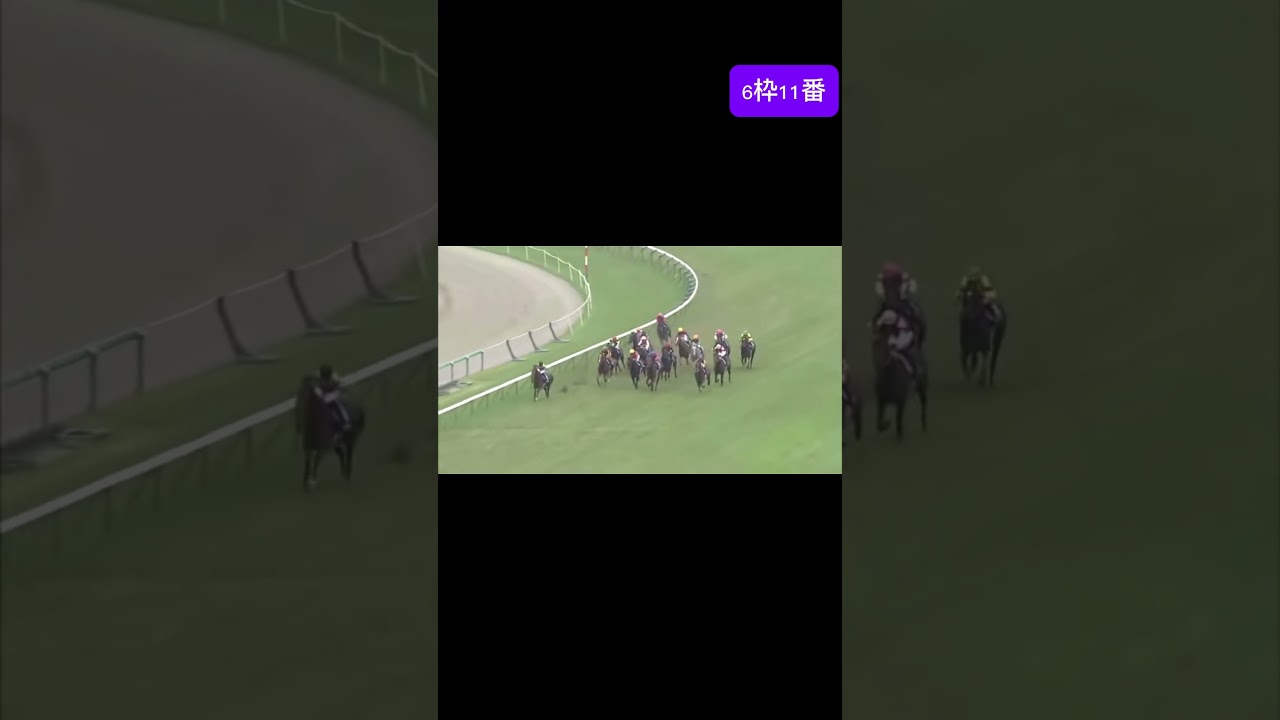 宝塚記念　オルフェーブル　#jra #競馬 #オルフェーブル #ウマ娘 #池添謙一