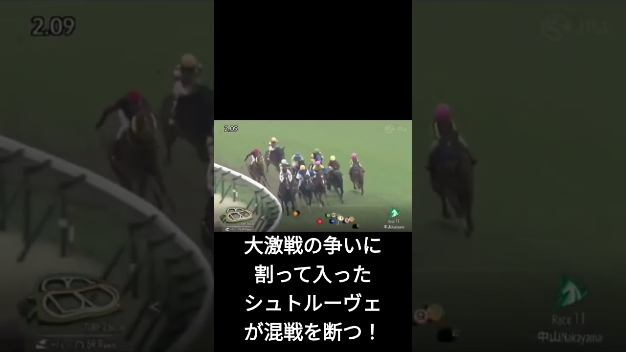 ショートでJRA70周年記念第72回日経賞#shorts
