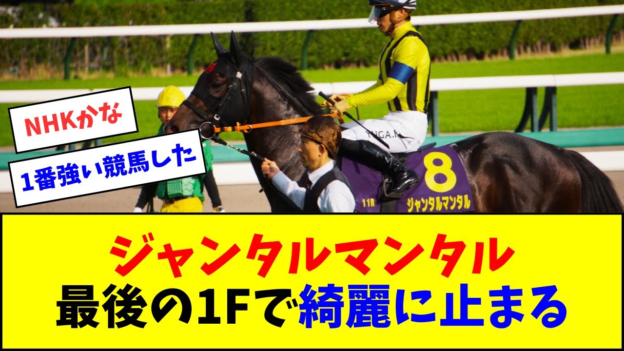 ジャンタルマンタル、最後の1Fで綺麗に止まる