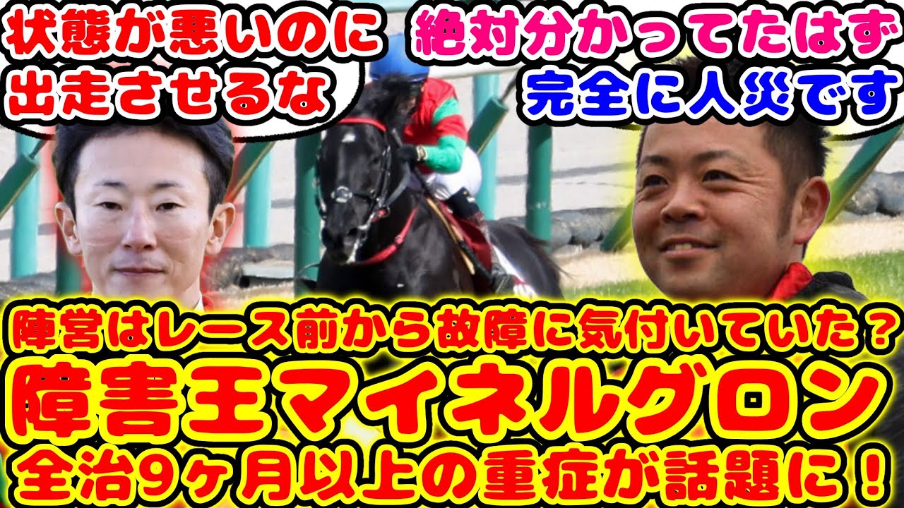 【競馬】中山GJ敗退のマイネルグロン故障で9ヶ月以上の重症が話題に！【競馬の反応集】