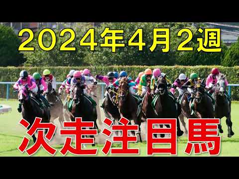 JRA競馬予想 平場 予想 回顧から狙いたい注目馬＆先週の振り返り　2024年4月13日・14日 【ガチで競馬を語らせてch】