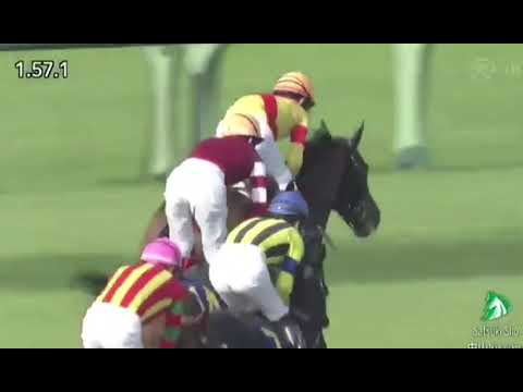 皐月賞(G1)　ジャスティンミラノが制覇！