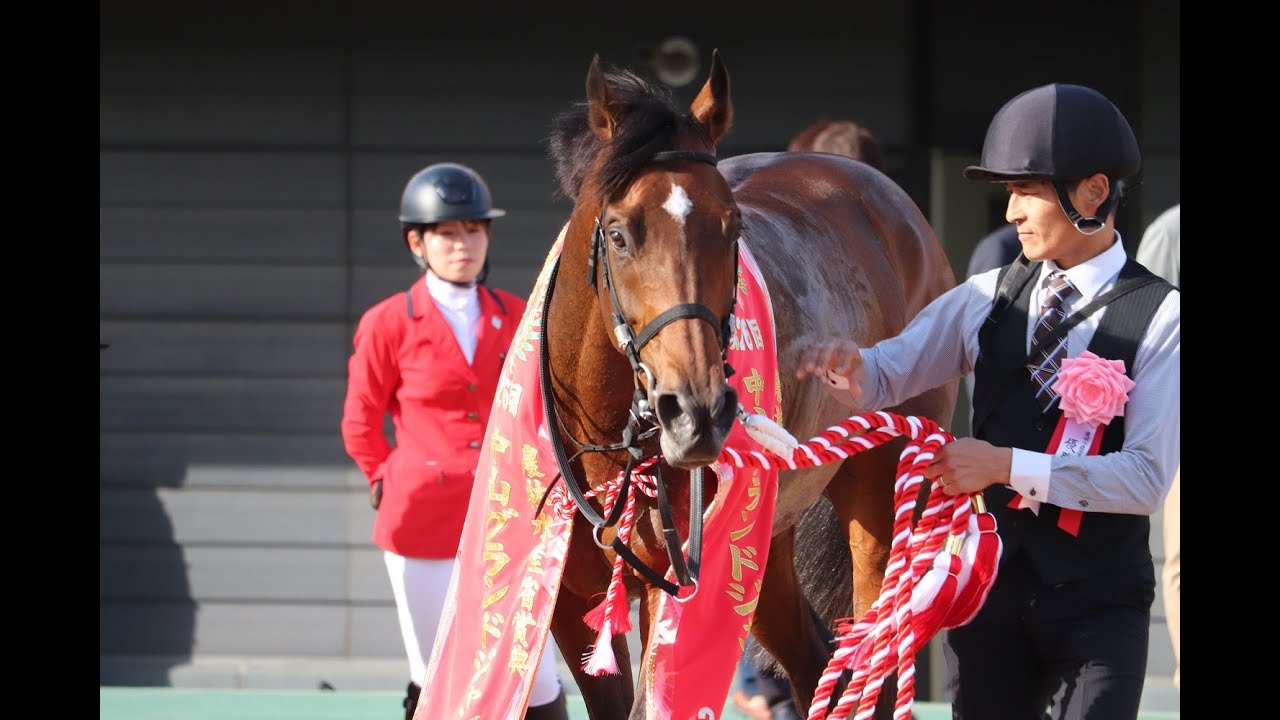 イロゴトシ、中山グランドジャンプ２連覇！！