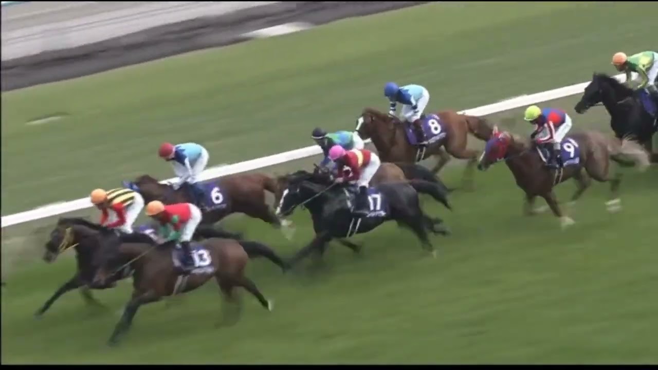 武豊騎手が絶妙なペースで逃げ切った中央G 1レース３選！