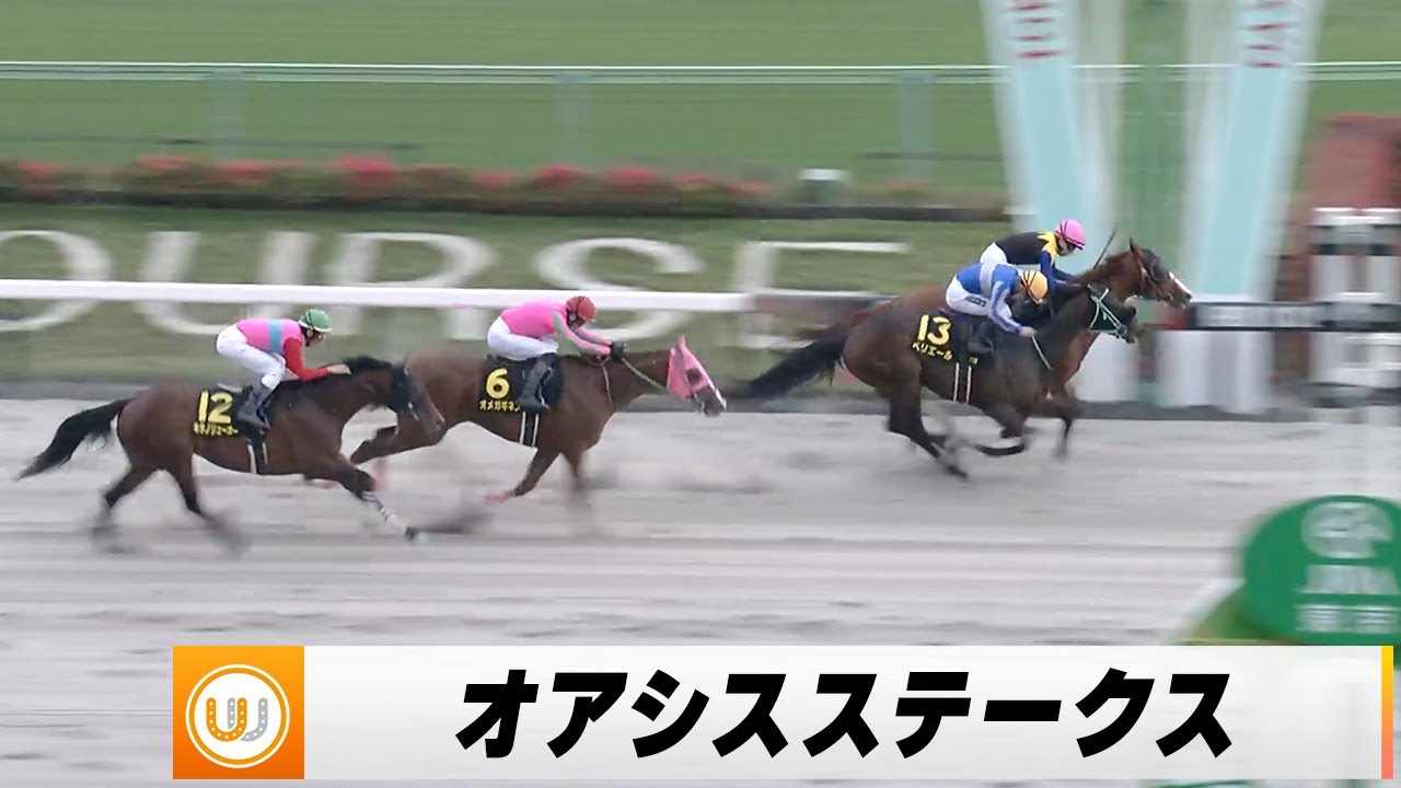 【2024】オアシスステークス（L） 東京競馬場11R ｜ウイニング競馬 2024年4月20日（土）