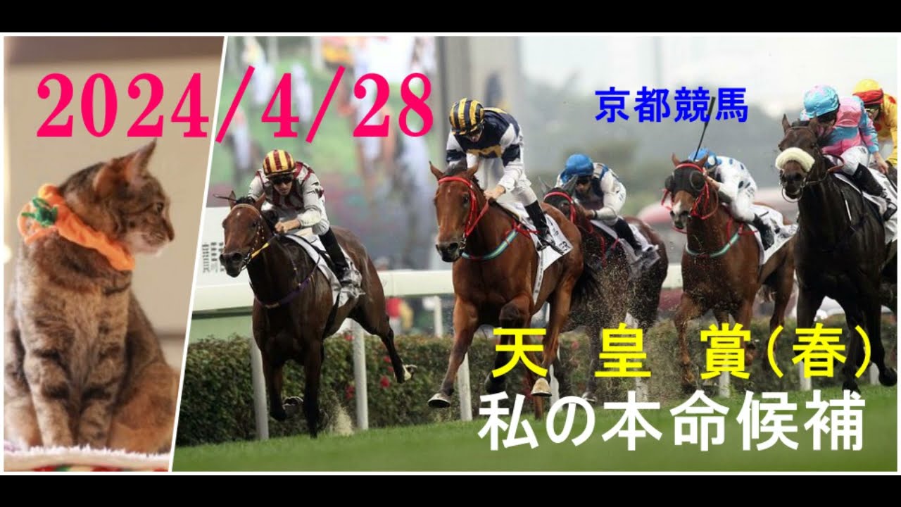 2024/4/28　京都競馬　天皇賞・春（ＧⅠ）私の本命候補