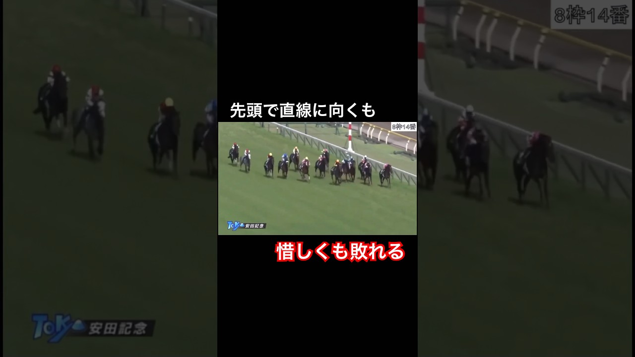 安田記念に出走するも...