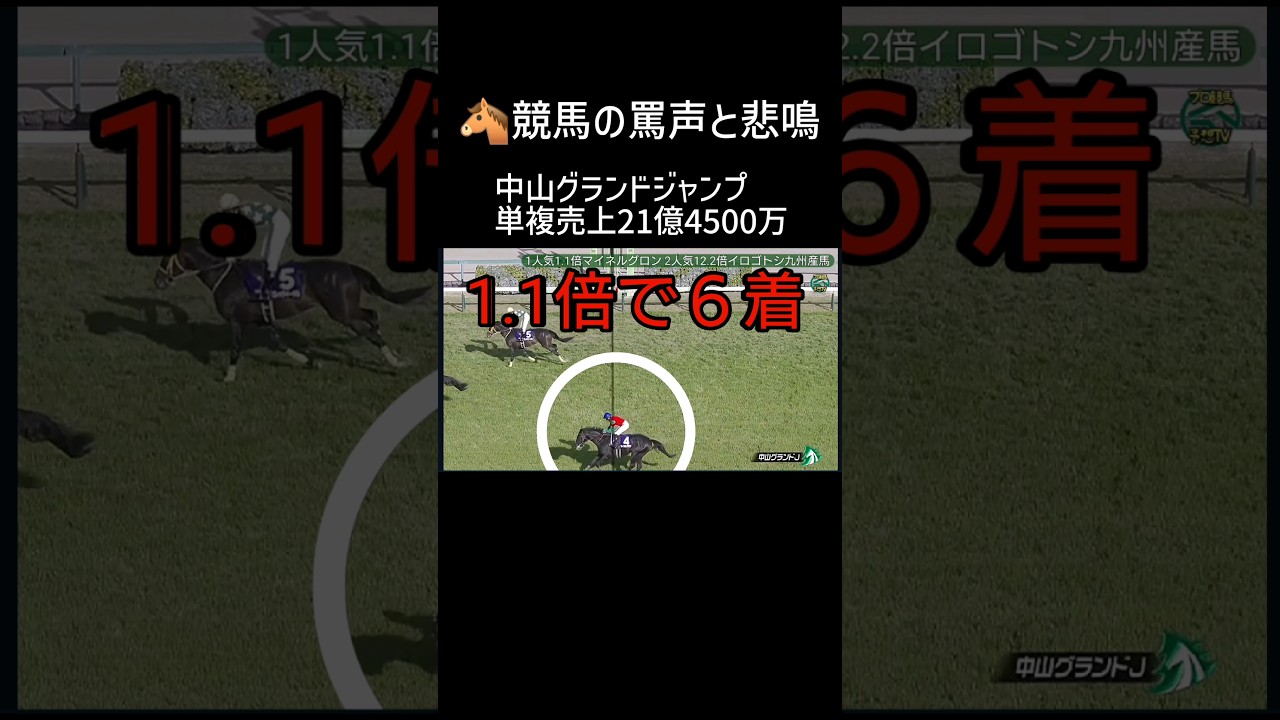 馬券21億円が消えた！中山競馬場グランドジャンプG1 マイネルグロン石神深一