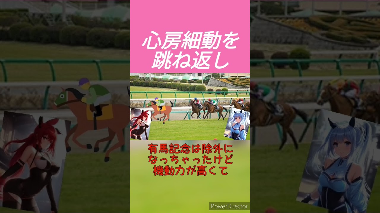 ブローザホーン日経新春杯2024挑戦！心房細動を跳ね返し、夏の活躍を踏まえて期待の一戦へ　 #競馬予想