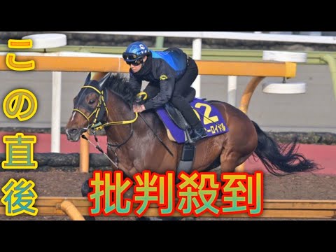 【天皇賞春・１週前追い切り】テーオーロイヤルはウッド６ハロン８０・３秒の好時計　好感触の菱田 Sport「感覚以上に時計が出ました」