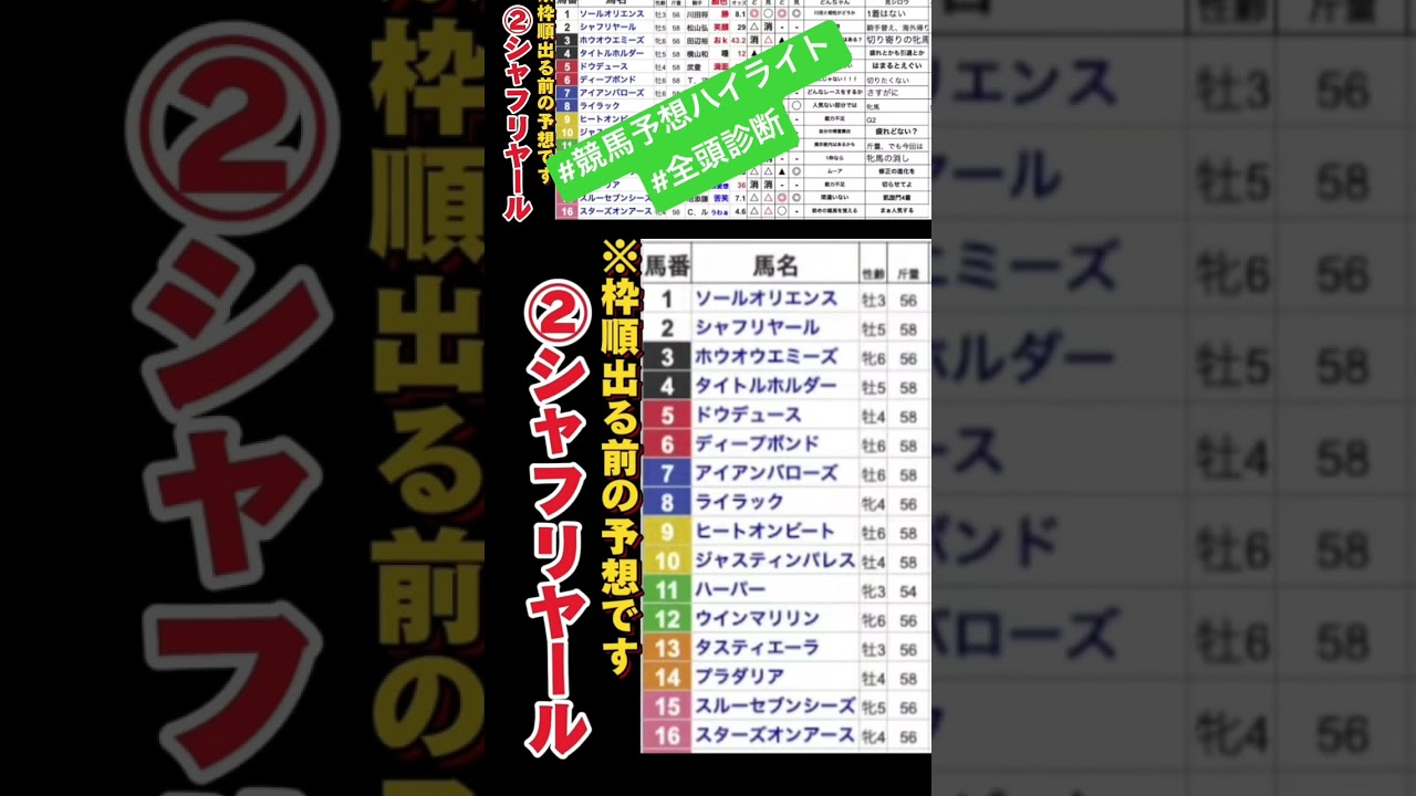 #シャフリヤール　#有馬記念2023 #競馬予想ハイライト #全頭診断