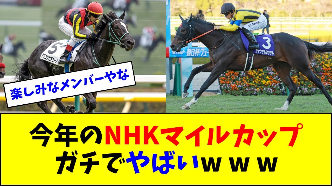 今年のNHKマイルカップ、ガチでやばい