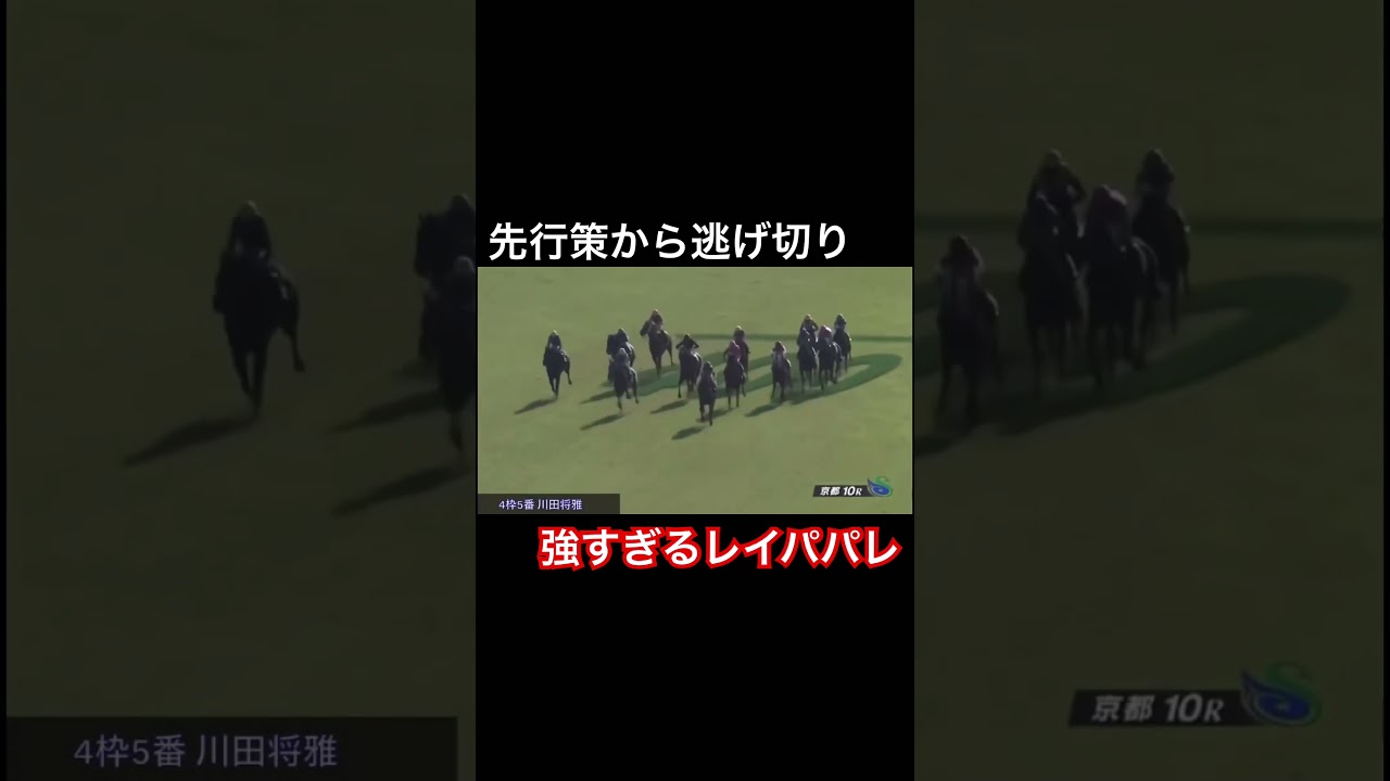 先行策から逃げ切り！強すぎるレイパパレ