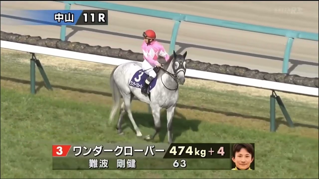 2024 第26回中山グランドジャンプ〔J•GⅠ〕本馬場入場