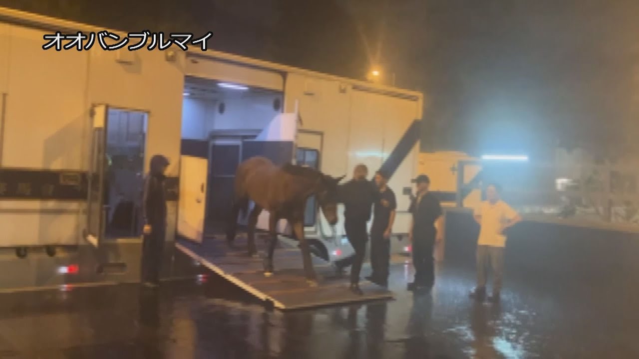【2024香港チャンピオンズデー】オオバンブルマイが香港に到着｜JRA公式