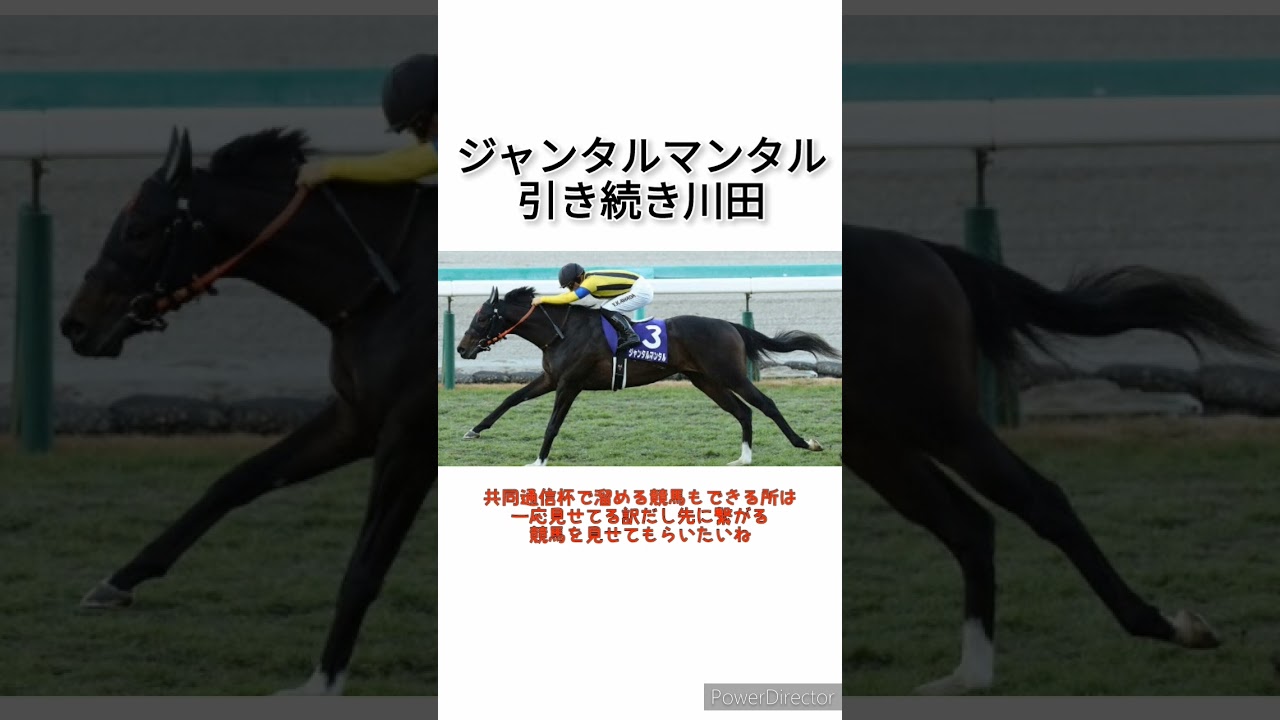 ジャンタルマンタルは引き続き川田でＮＨＫマイルＣ　 #競馬
