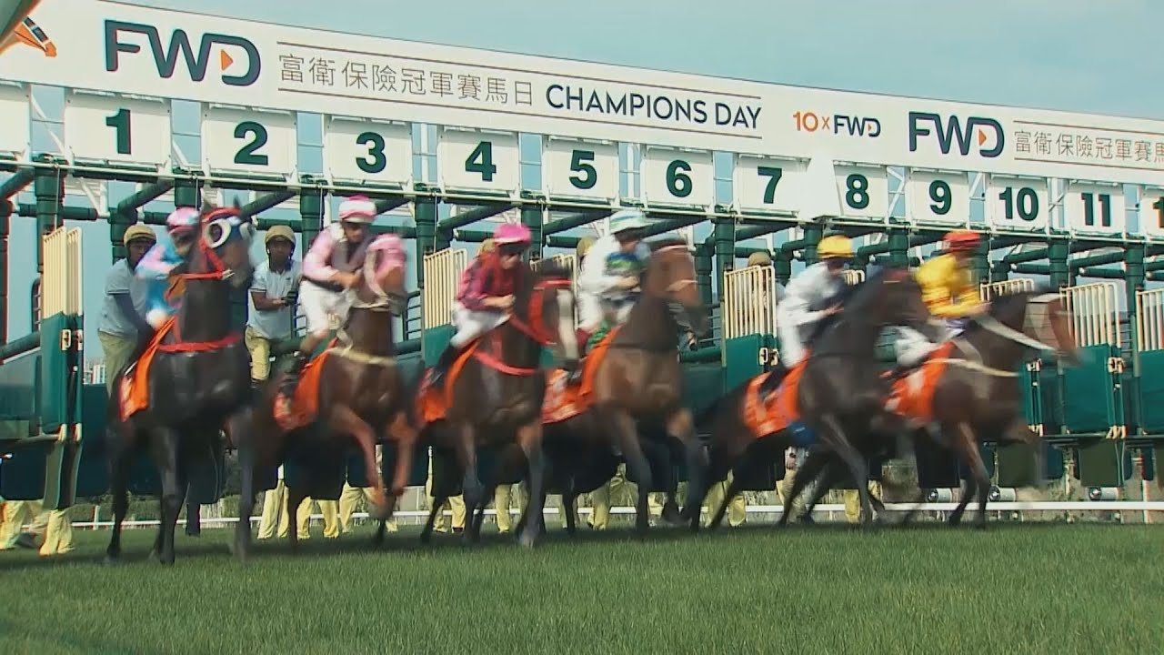 【2024香港チャンピオンズデー】現地プロモーション映像【日本馬出走予定】 | JRA公式