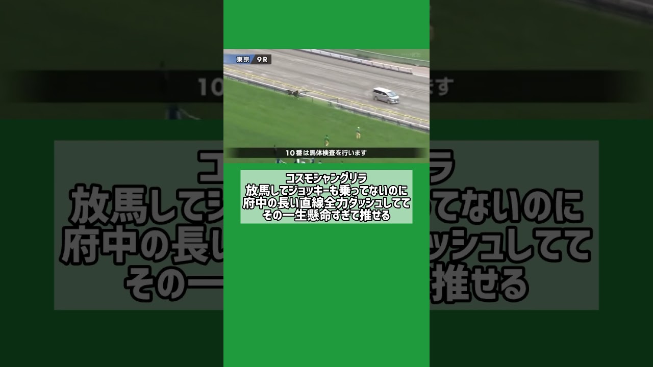 #競馬 #競馬予想 #天皇賞 #菊花賞