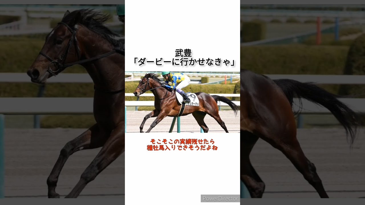 武豊がシュガークンの日本ダービー出走を熱望！ 「ダービーに行かせなきゃいけない馬」　 #競馬