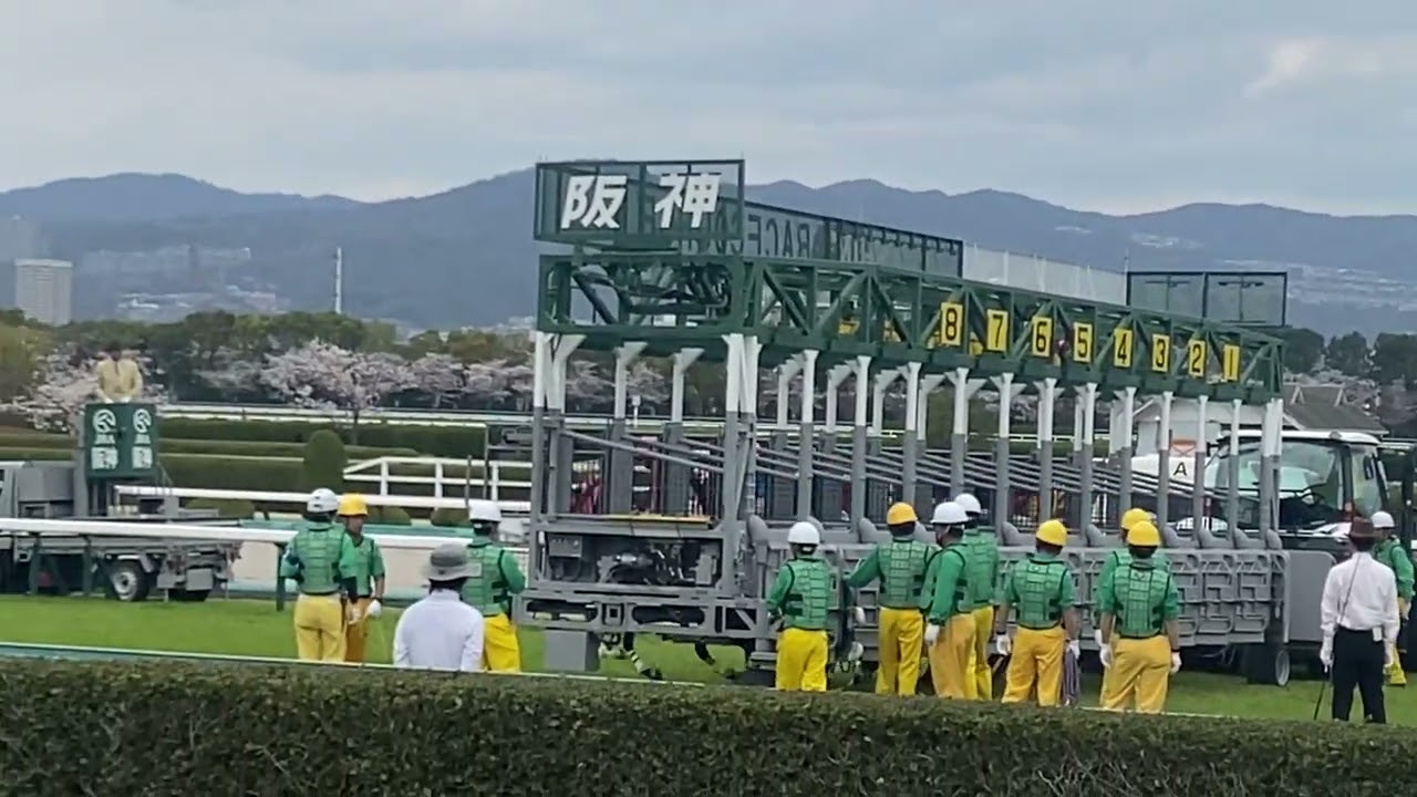 阪神9R 忘れな草賞 3歳オープン 2024～現地映像～ #競馬 #桜花賞 #桜花賞2024 #阪神競馬場 #忘れな草賞