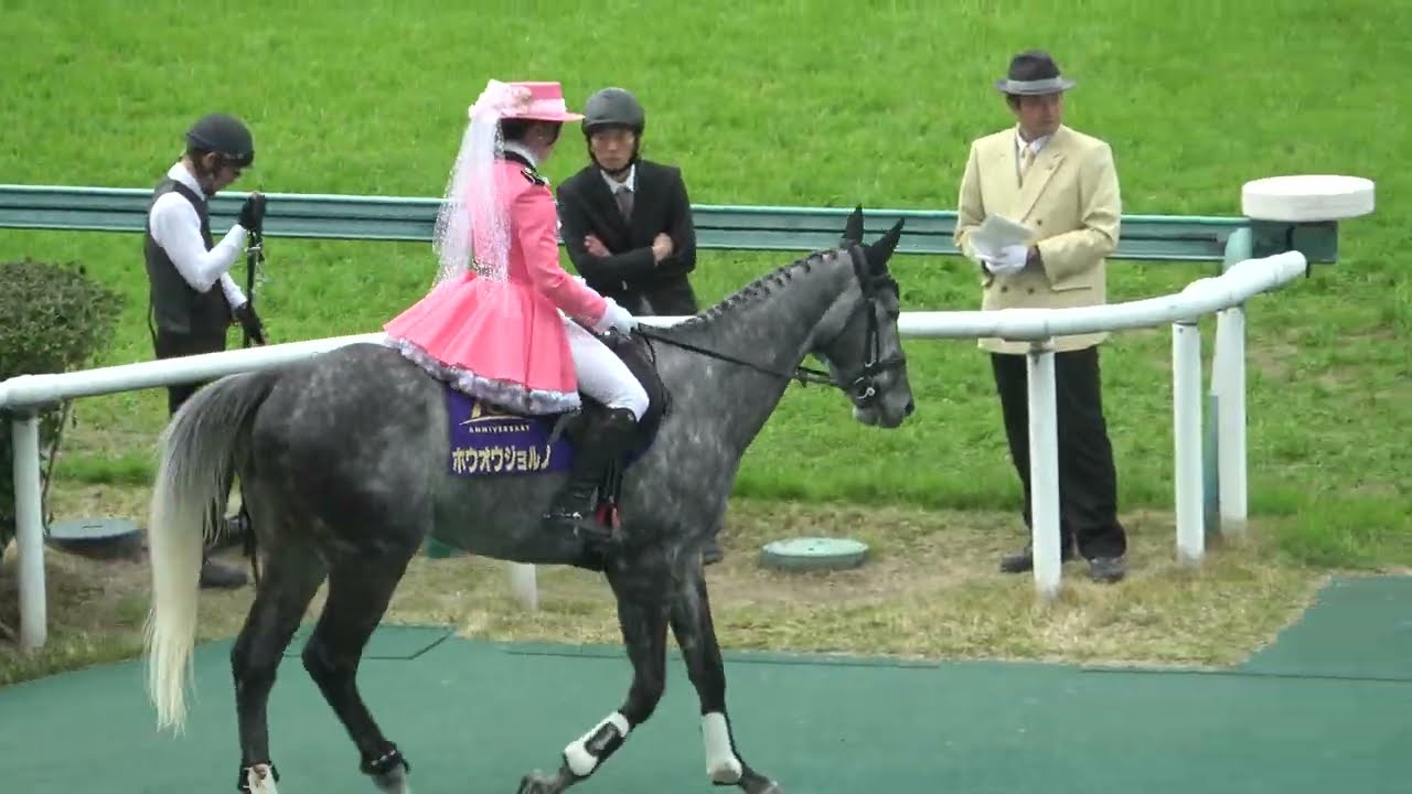 【桜花賞2024】先導誘導馬の乗りての衣装がカッコいい‼ 本馬場入場 現地映像 ステレンボッシュ