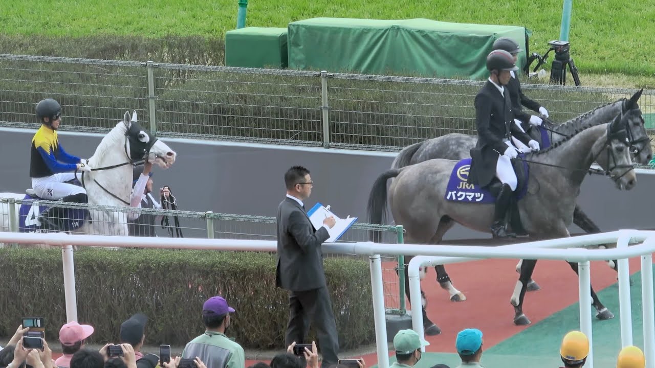 【大阪杯2024】誘導馬⁉ ハヤヤッコが先頭の本馬場入場  現地映像 ベラジオオペラ