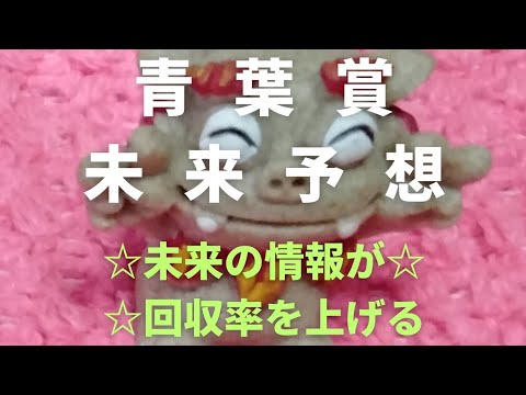 【青葉賞】未来予想！未来の情報が回収率を上げる！