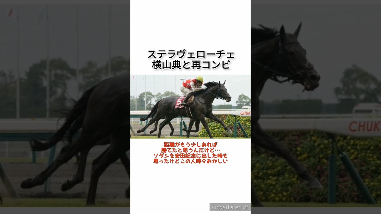 ステラヴェローチェは横山典と再コンビで安田記念へ　 #競馬