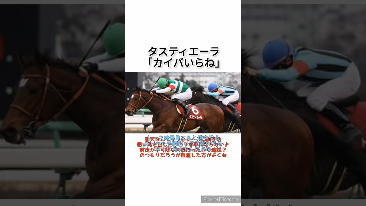 【天皇賞･春】タスティエーラ堀調教師「大阪杯前日にカイバを8割残していた」　 #競馬