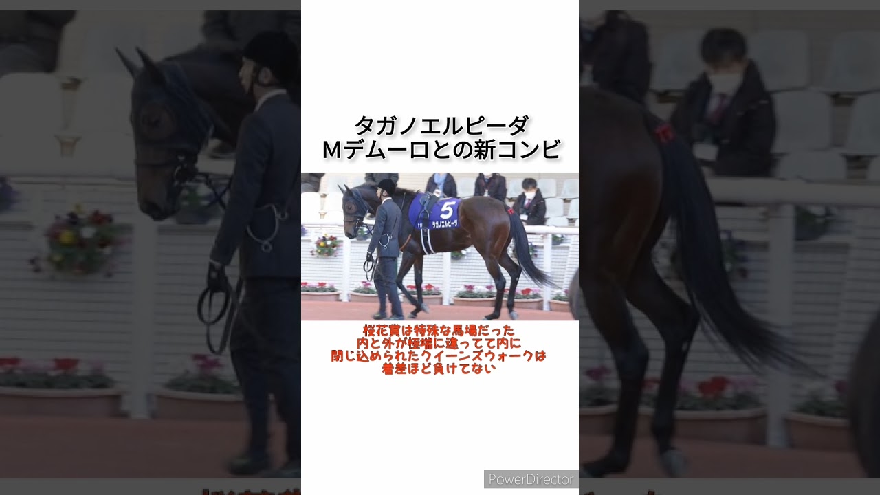 忘れな草賞ＶのタガノエルピーダはＭデムーロとの新コンビでオークスへ　 #競馬