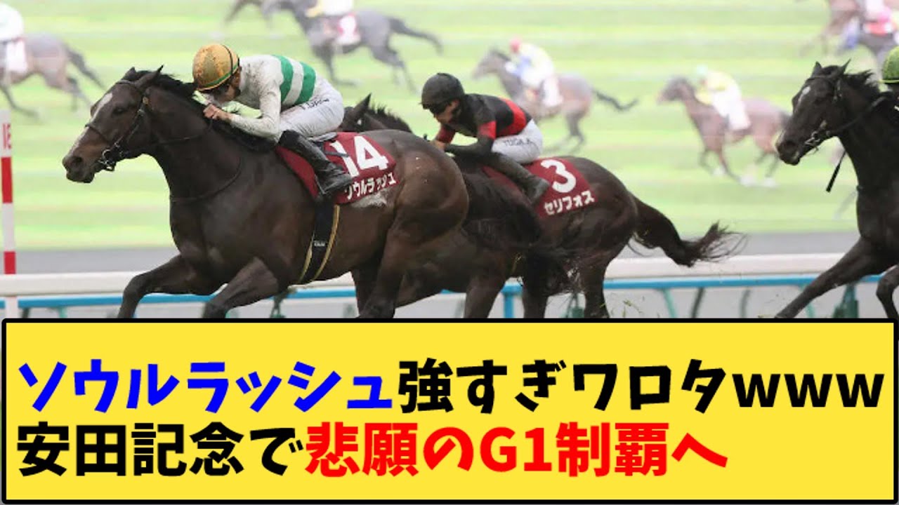 【競馬】｢ソウルラッシュ強すぎワロタwww安田記念で悲願のG1制覇へ」に対する反応【反応集】