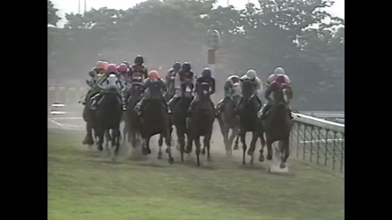 ヤマニンゼファー 1993年 第43回安田記念(GI) (優勝馬：ヤマニンゼファー)(実況：ラジオたんぱ)