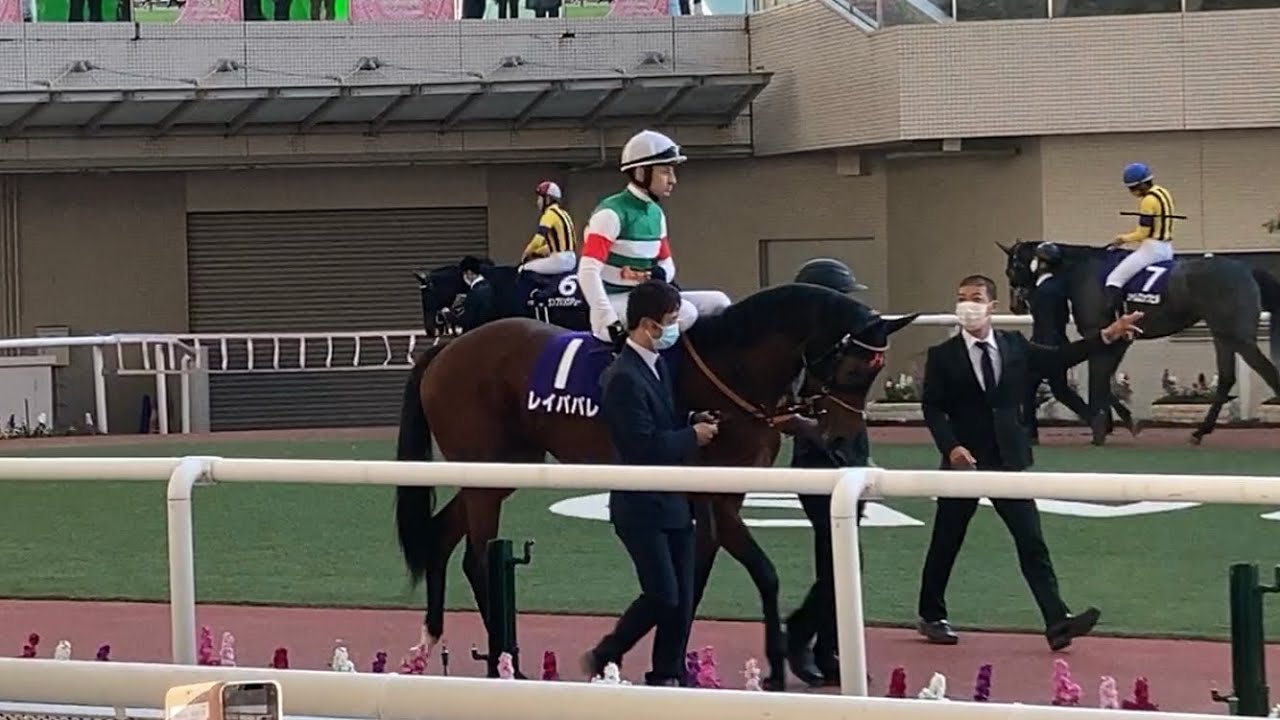 2021年 第46回エリザベス女王杯 パドック