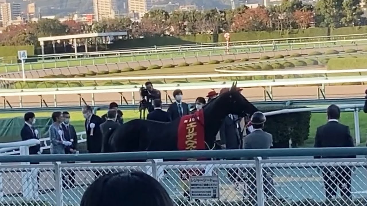第46回エリザベス女王杯 優勝馬アカイイト 口取り待ち