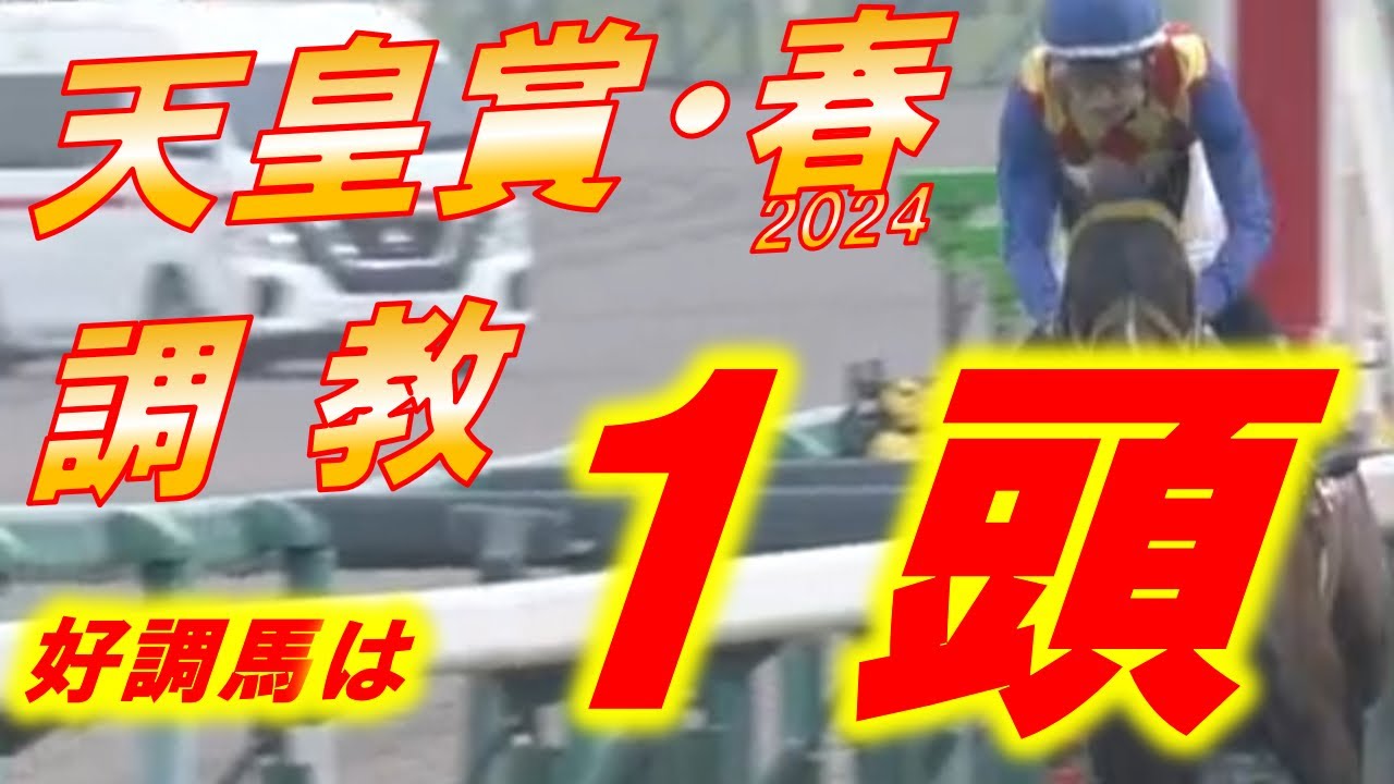 天皇賞春2024　追い切り診断　テーオーロイヤル VS ドゥレッツァ！！　令和の名勝負になるか！？　元馬術選手のコラム by アラシ